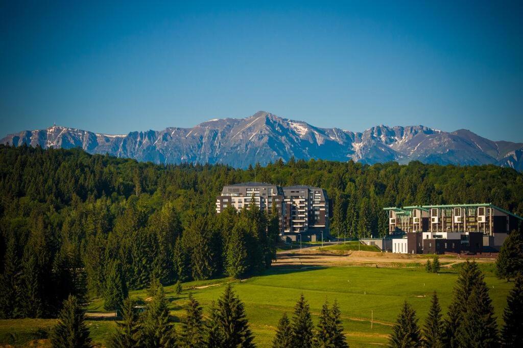 Apartment Silver Mountain G1 21 R Poiana Brasov