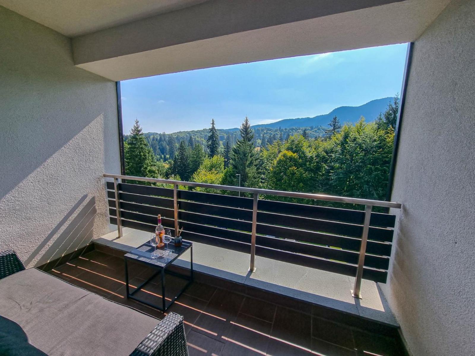 Silver Mountain G1 21 R Apartment Poiana Brasov