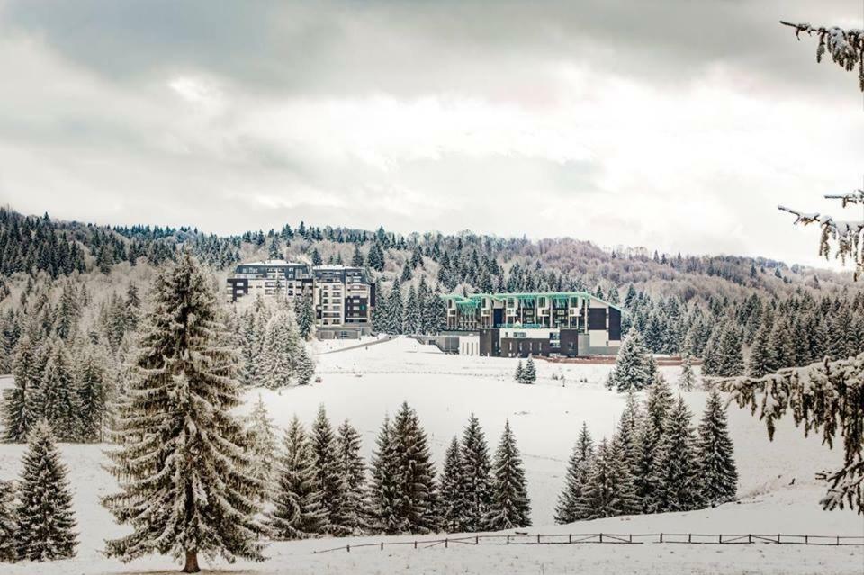 Apartment Silver Mountain G1 21 R Poiana Brasov